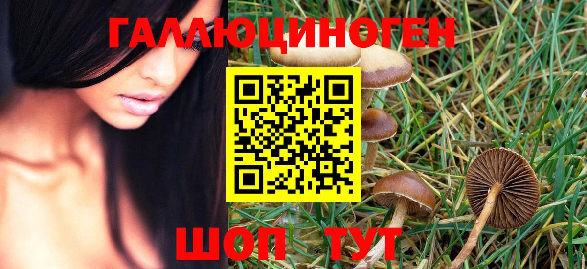 Псилоцибиновые грибы MAGIC MUSHROOMS Балахна