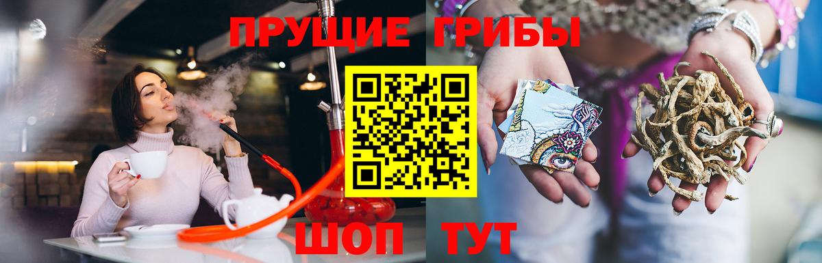 Балахна  купить закладку  Вход с VPN  Псилоцибиновые грибы MAGIC MUSHROOMS 